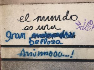 6-el-mundo-es-una-gran-belleza